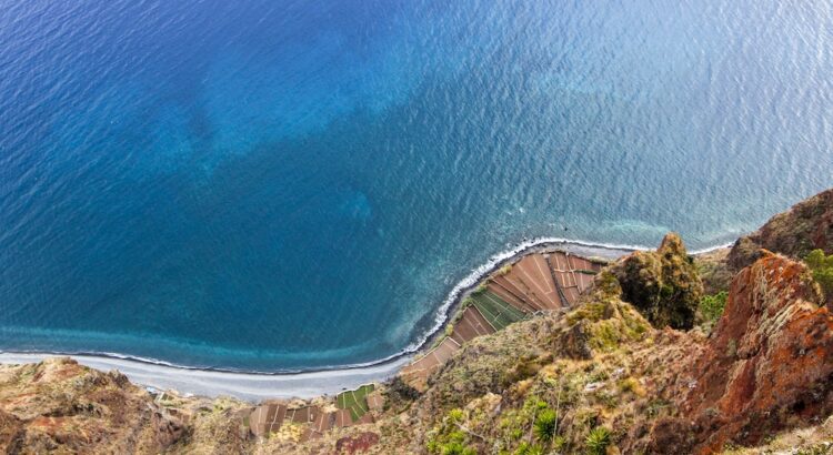 5 atrações imperdíveis na Ilha da Madeira em Portugal